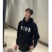 Dior Brushstroke Hoodie
