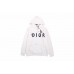 Dior Brushstroke Hoodie
