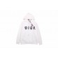 Dior Brushstroke Hoodie