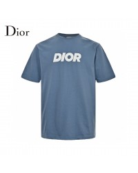 Dior Classic Logo T-Shirt (Blue)