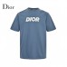 Dior Classic Logo T-Shirt (Blue)