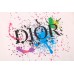 Dior Color Splash Graphic T-Shirt