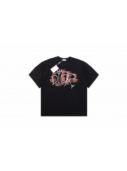Dior T-Shirt with Artistic Logo Design