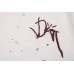 Dior T-shirt with Brown Logo