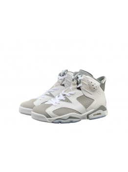 Jordan 6 Cool Grey