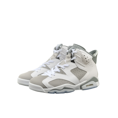 Jordan 6 Cool Grey