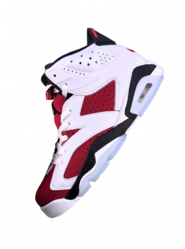 Jordan 6 “Gatorade”