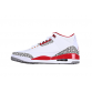 AIR JORDAN 3 SE DENIM WHITE/GREY/RED