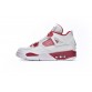 Air Jordan 4 Retro Alternate 89