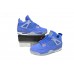 Air Jordan 4 Retro Florida