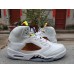Air Jordan 5 "Shattered Backboard"