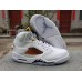 Air Jordan 5 "Shattered Backboard"