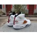 Air Jordan 5 "Shattered Backboard"