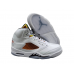 Air Jordan 5 "Shattered Backboard"