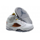 Air Jordan 5 "Shattered Backboard"