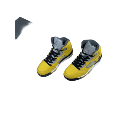 Air Jordan 5 "Tokyo T23"