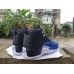 JORDAN 12 x BLACK GAME ROYAL