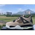 JORDAN 4 x FOSSIL