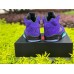 JORDAN 5 RETRO x ALTERNATE GRAPE