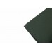 Loewe Graphic T-Shirt (Green)