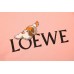 Loewe T-Shirt with Logo and Graphic Design