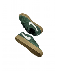 The Nike Blazer Low Pro GT