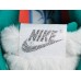 NIKE DUNK x ICE