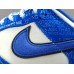 NIKE DUNK x JACKIE ROBINSON