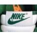 NIKE DUNK x MICHIGAN STATE