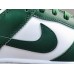 NIKE DUNK x MICHIGAN STATE