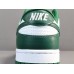 NIKE DUNK x MICHIGAN STATE