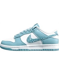 NIKE DUNK x PAISLEY PACK WORN BLUE