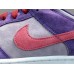 NIKE DUNK x PLUM