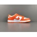 NIKE DUNK x SYRACUSE