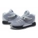 NIKE KD 14 TB x GREY