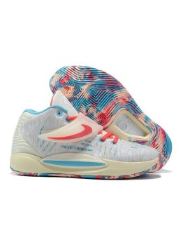 NIKE KD 14 x MULTICOLOR