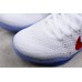 NIKE KOBE 11 ELITE LOW x USA