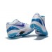 NIKE KOBE 4 PROTRO x DRAFT DAY HORNETS