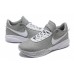 NIKE LEBRON 20 x GREY WOLF