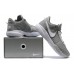 NIKE LEBRON 20 x GREY WOLF