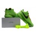 NIKE LEBRON 20 x GRINCH