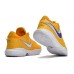 NIKE LEBRON 20 x LAKE SHOW