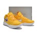 NIKE LEBRON 20 x LAKE SHOW