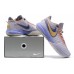 NIKE LEBRON 20 x VIOLET FROST