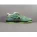 NIKE SB DUNK x CONCEPTS GREEN LOBSTER