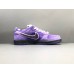 NIKE SB DUNK x CONCEPTS PURPLE LOBSTER