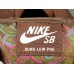 NIKE SB DUNK x PAISLEY BROWN