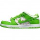 NIKE SB DUNK x SUPREME STARS MEAN GREEN