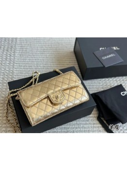 Cc new arrival woc chain bag size: 19cm