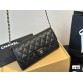 CC new arrival woc caviar leather bag size: 22*10cm